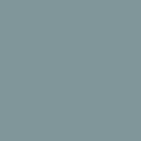 NCS-S-4010-B30G